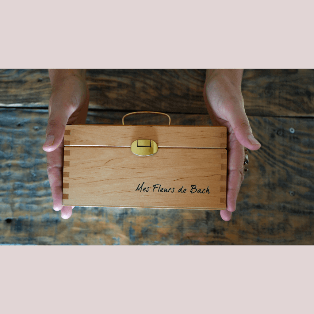 fleur bach emotion soutien equilibrer toulouse ariege